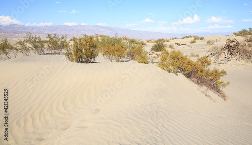 Death Valley National Park in California, USA