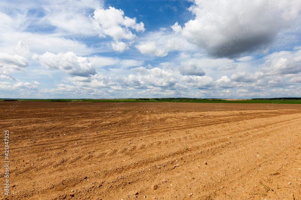 ploughed soil on which cereals are grown
