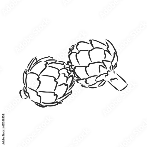 vector set of engraving illustration green vegetables artichoke on white background