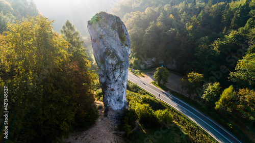 Limestone cliff Pieskowa Skala near Krakow, Poland, with isolated rock "Maczuga Herkuklesa" Hercules's mace