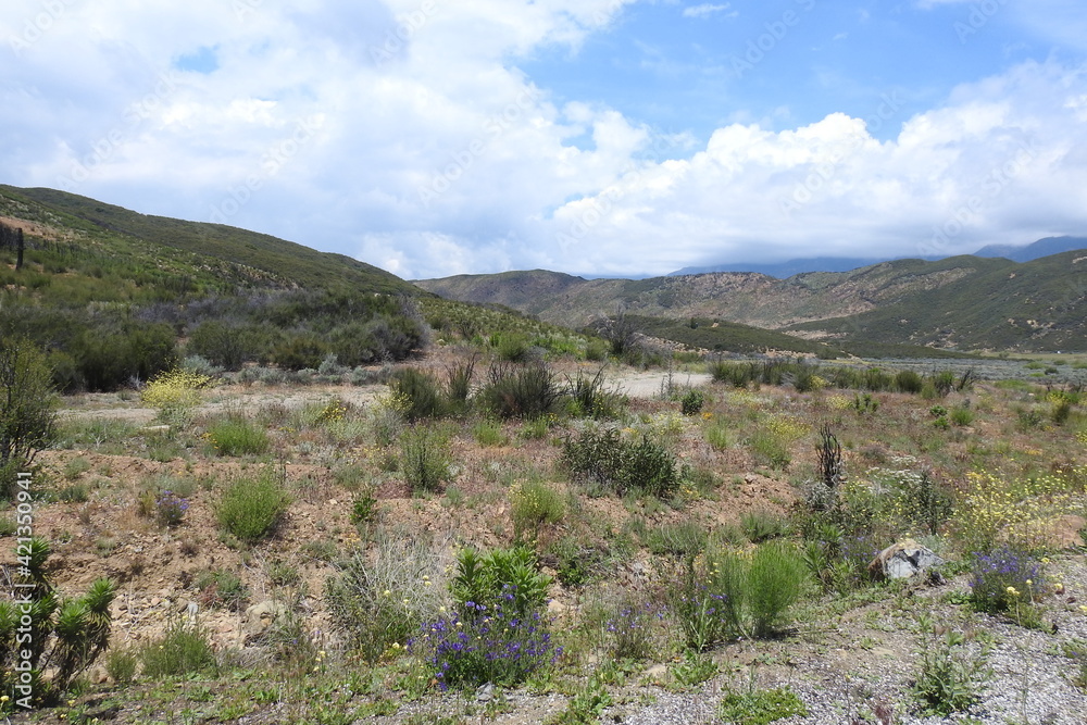 Beautiful scenery along Highway 33, Ventura County backcountry, California.