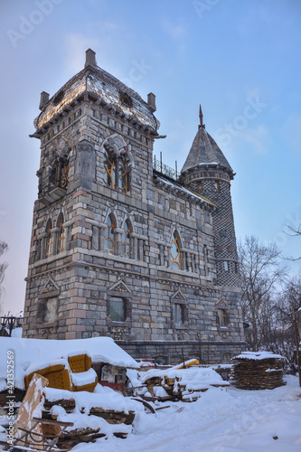 gothic castle in winter, outside view, against the sky, winter trees