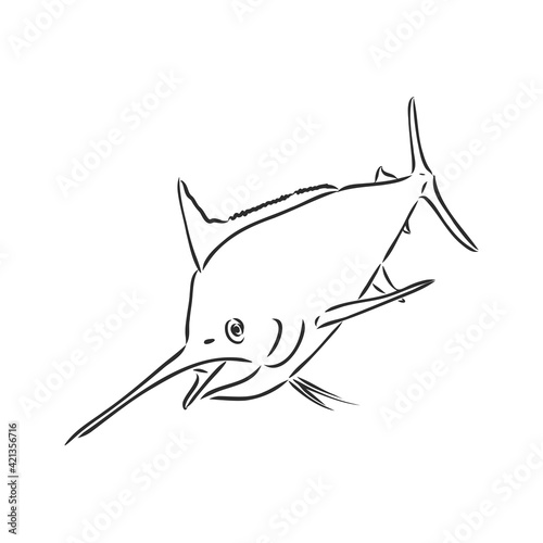 Marlin, swordfish zentangle stylized, vector, illustration, freehand pencil, hand drawn, pattern.