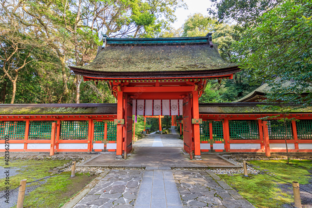 春の宇佐神宮 大分県宇佐市 Usazinguu in spring Ooita-ken Usa city 春の宇佐神宮 大分県宇佐市 Usazinguu in spring Ooita-ken Usa city