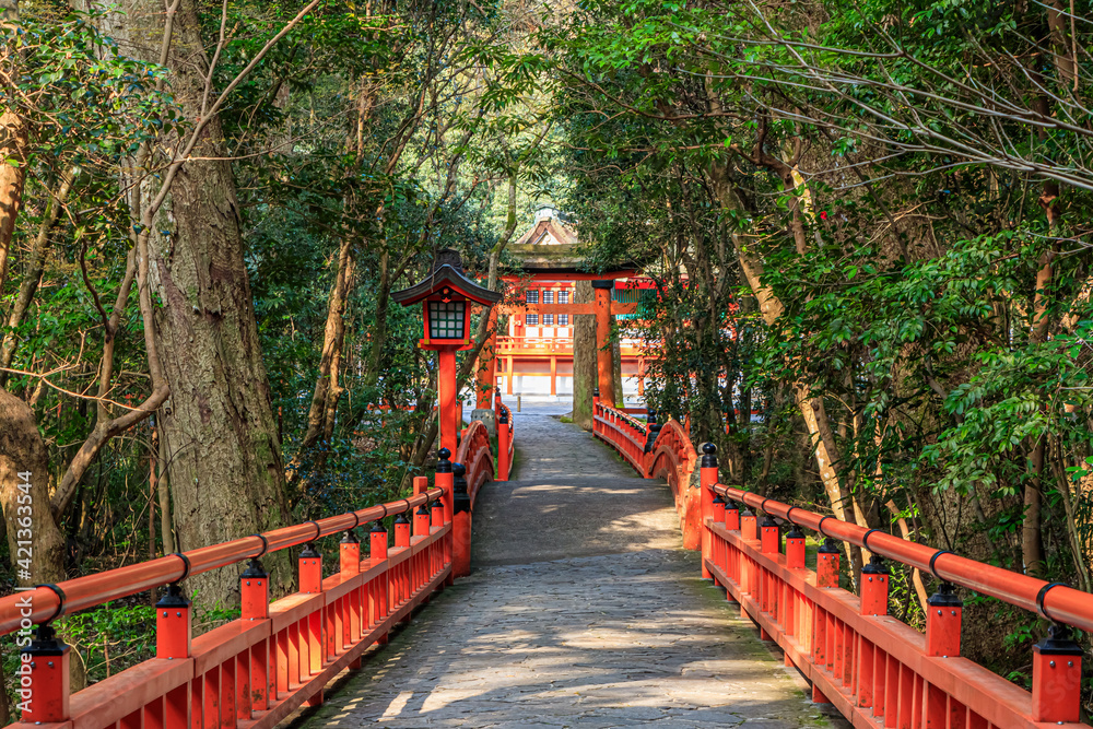 春の宇佐神宮 大分県宇佐市 Usazinguu in spring Ooita-ken Usa city 春の宇佐神宮 大分県宇佐市 Usazinguu in spring Ooita-ken Usa city