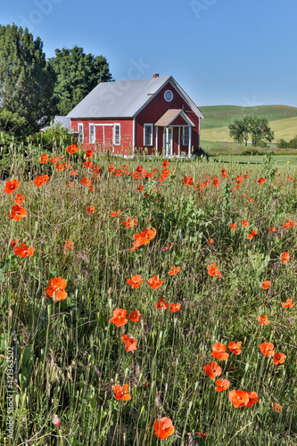 Old red school house with foreground with red and orange poppies near Colfax, Eastern Washington © Danita Delimont