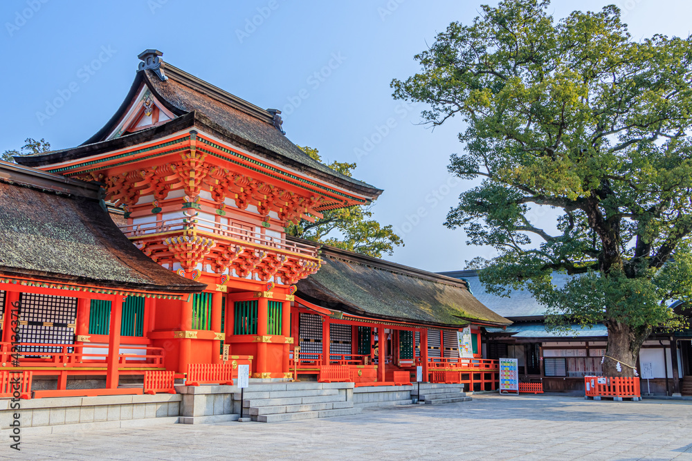春の宇佐神宮 大分県宇佐市 Usazinguu in spring Ooita-ken Usa city 春の宇佐神宮 大分県宇佐市 Usazinguu in spring Ooita-ken Usa city