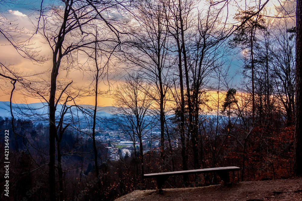 Beautiful view with bench in the park