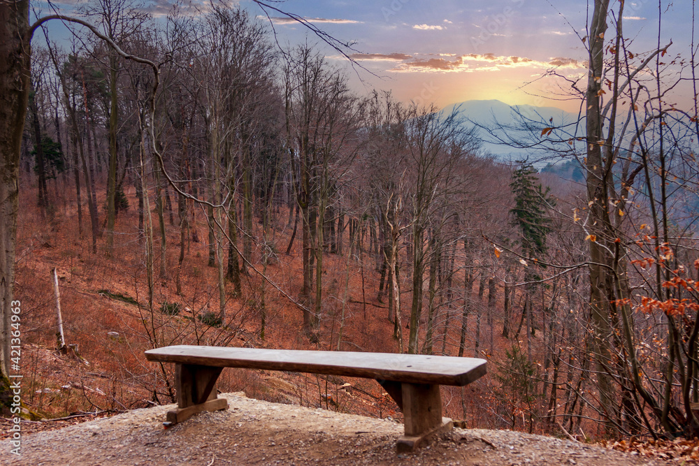Beautiful view with bench in the park
