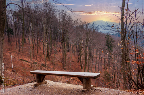 Obraz na płótnie Beautiful view with bench in the park w salonie