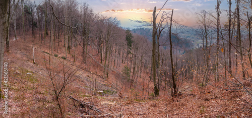 view of the spring mountains