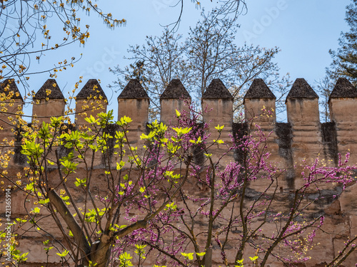Fototapeta Naklejka Na Ścianę i Meble -  Alhambra Park and the outer wall