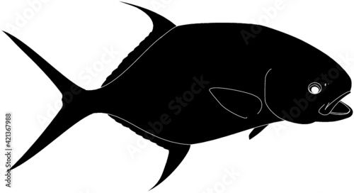 Permit Fish Silhouette 