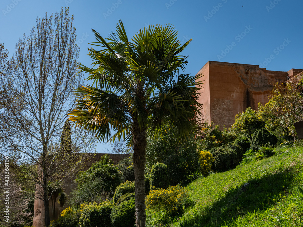 Alhambra Park and the outer wall Alhambra Park and the outer wall
