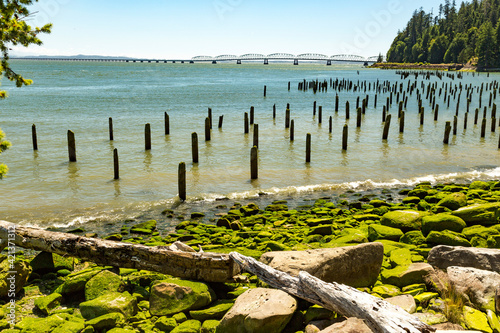 USA, Washington State, Megler. North Shore of the Columbia River. Pilings, seaweed covered rocky beach. photo