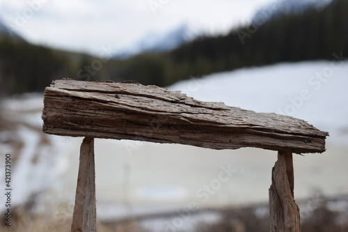 wood