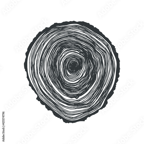 Wooden cross section. Vector wood texture wavy ring pattern of a slice of wood. A wooden stump in shades of grey is isolated on white. Vector illustration. Cross-section tree background