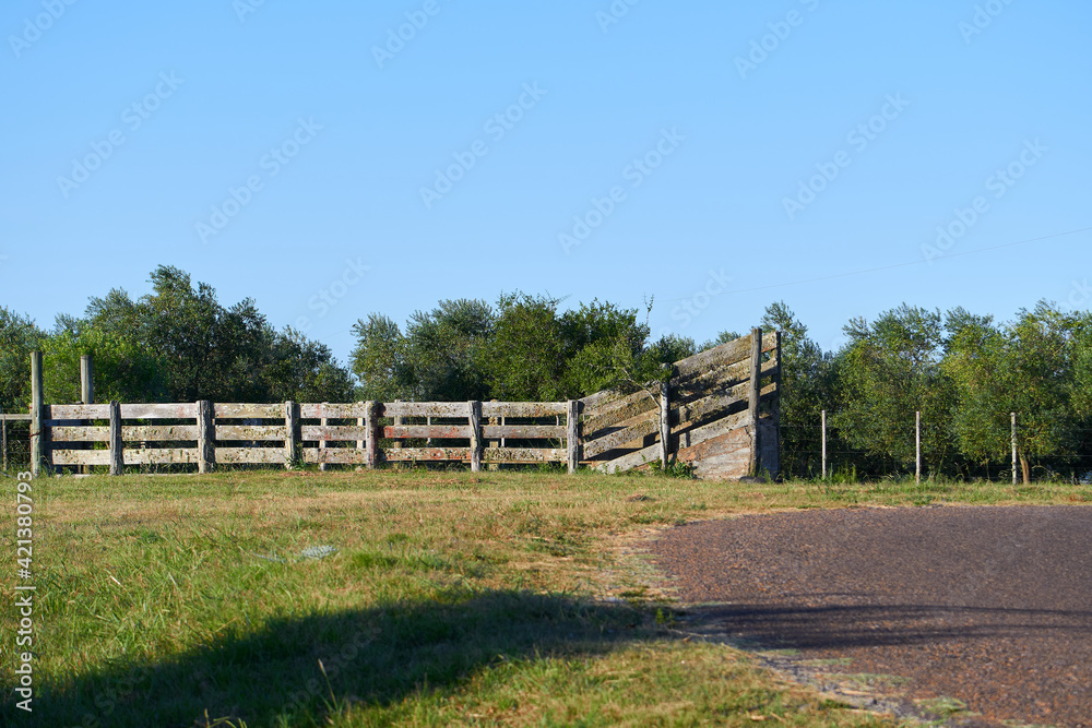 ecotourism in eastern Uruguay in green meadows and beautiful and warm mountains