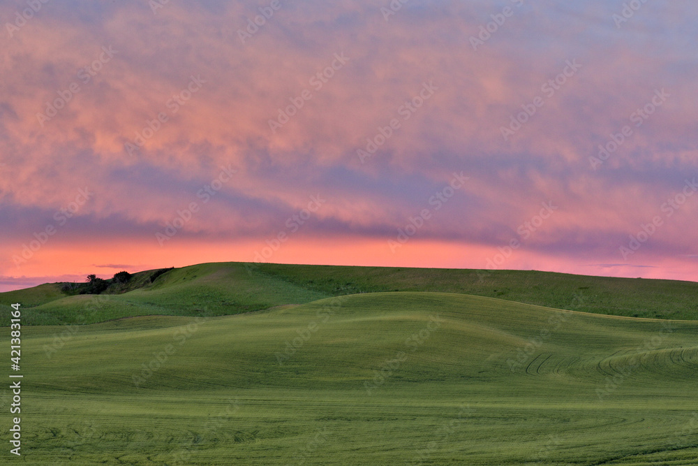 USA, Washington State, Palouse. Rolling hills in Colfax at sunset. USA, Washington State, Palouse. Rolling hills in Colfax at sunset.