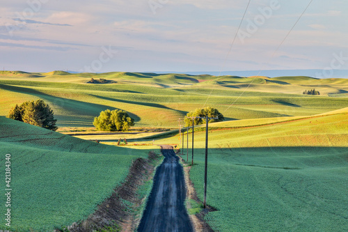 USA, Washington State, Palouse. Rolling hills in Colfax at sunset. photo