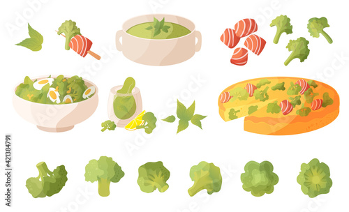 Dishes with broccoli big set in cartoon style. Broccoli cabbage, smoothie, puree soup, salad with egg and and herbs. Broccoli and salmon pie, broccoli and red fish casserole,red fish slices. Vector