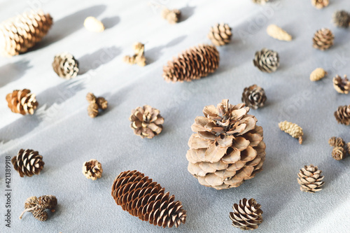 Pinecones on dark grey background. Pinecones grouped natural holiday background copy spase. Natural holiday background with pinecones grouped together.