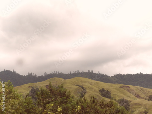 morning in the mountains