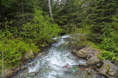Mountain Stream in Montana