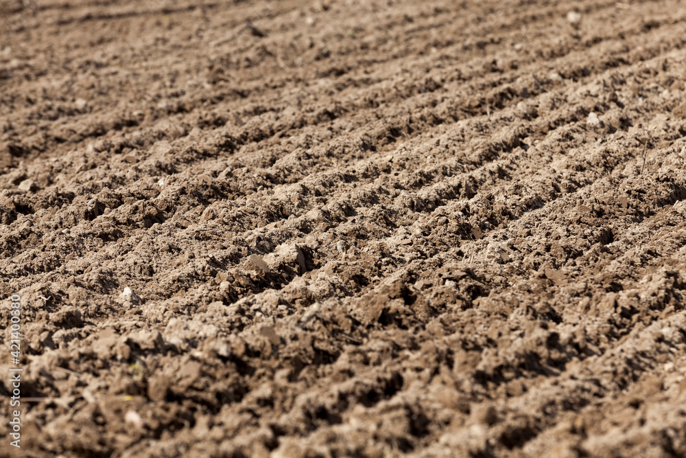 plowed agricultural field sown with grain plowed agricultural field sown with grain