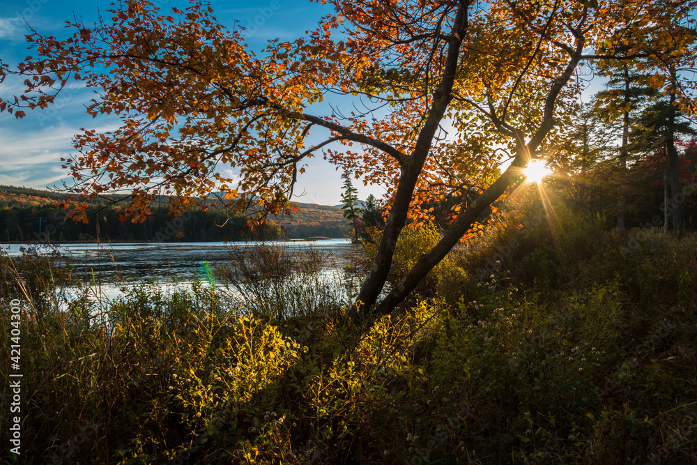 Obraz premium dramatic autumn landscape in North Lake campground in the Catskills upstate New York.