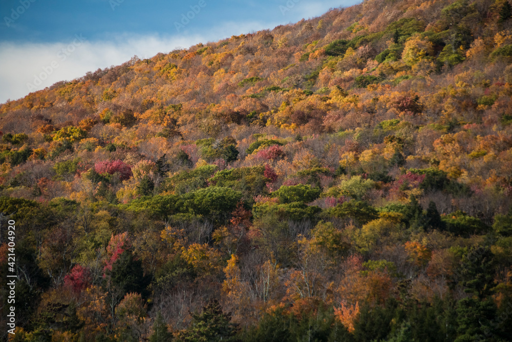 dramatic autumn landscape in North Lake campground in the Catskills upstate New York.