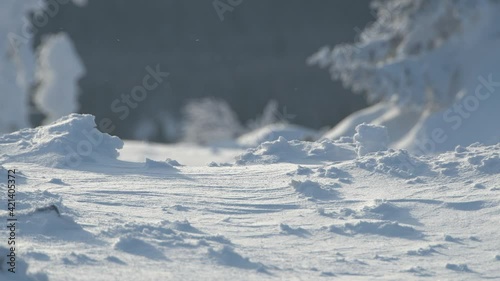 Snowflakes fly over the frozen ground. Snow after blizzard to form hills. Winter forest with frozen branches in blur on background. Wind shakes trees and whirls rime.