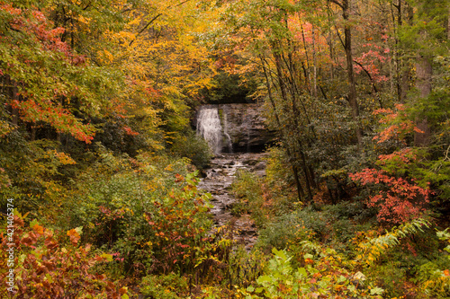 vibrant autumn foliage and peaceful cascading waterfalls in the Great Smoky Mountain National Park in Tennessee.