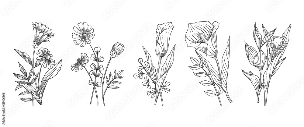 Fototapeta premium Hand Drawn Botanical Flowers Set