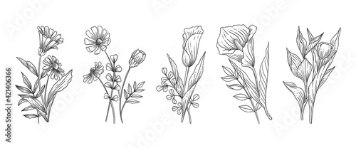 Hand Drawn Botanical Flowers Set