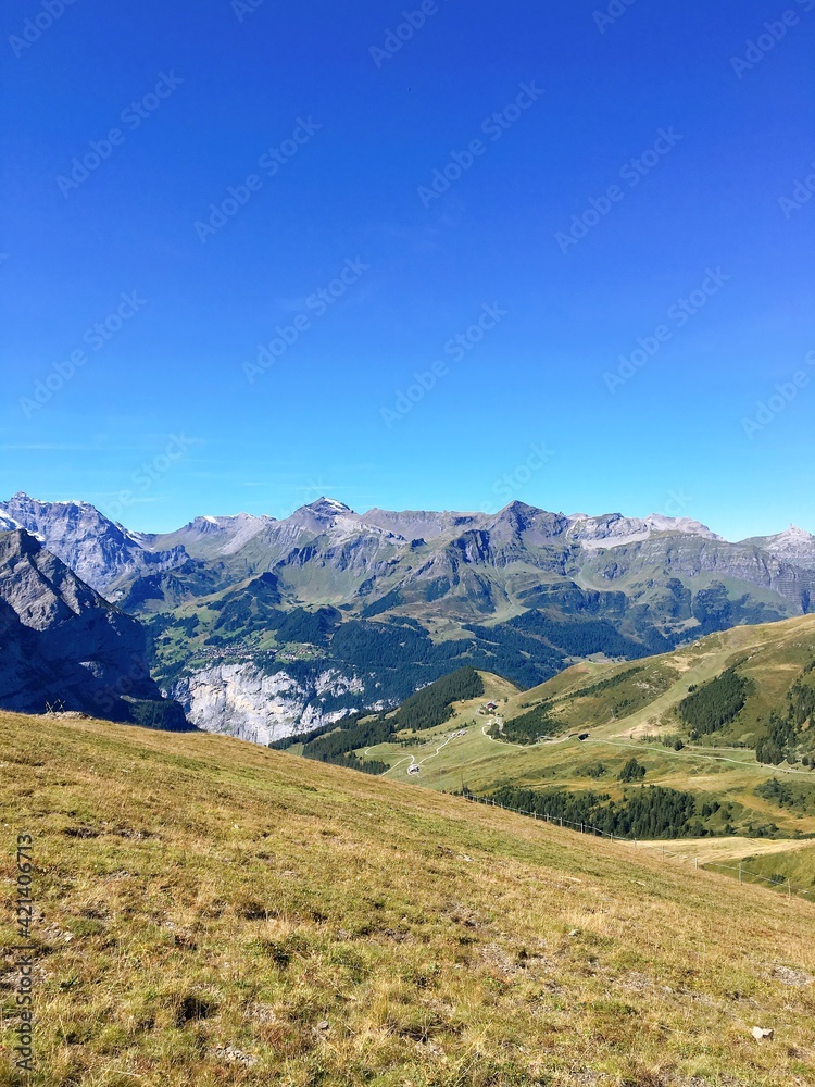 Fototapeta premium Panoramic view of the Swiss Alps on a clear summer day