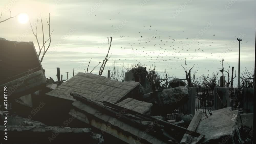 Flock of Birds Flying over Ruins of Buildings an Dead Trees in Epecuen, Buenos Aires province, Argentina. 4K Resolution. Flock of Birds Flying over Ruins of Buildings an Dead Trees in Epecuen, Buenos Aires province, Argentina. 4K Resolution.