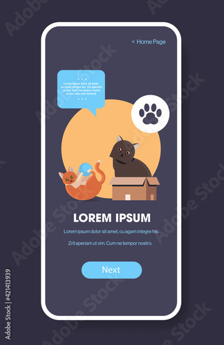 cute cats fluffy adorable cartoon animals domestic kitty home pets website or online shop smartphone screen mobile app copy space vertical