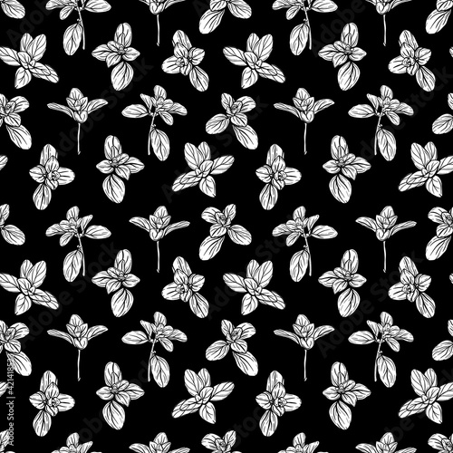  Basil Seamless Pattern. Italian herbs.A sprig of marjoram. Basil is a fragrant and fragrant seasoning. Hand-drawn illustration