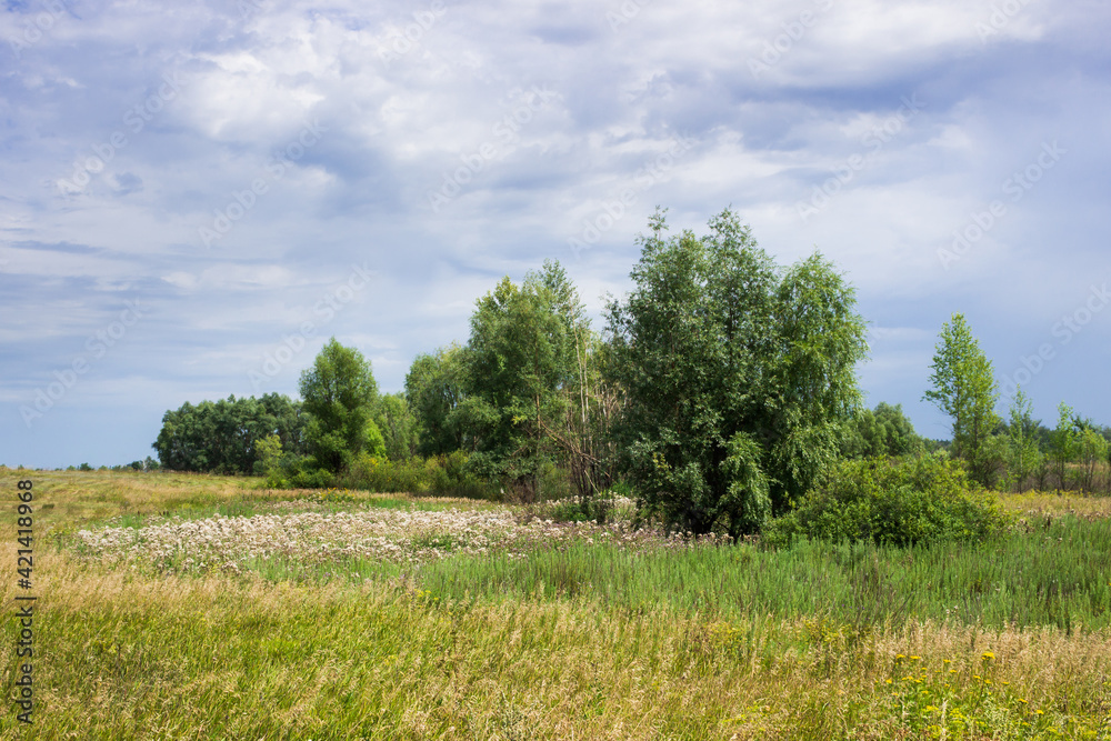 The Bugulma-Belebey Upland, the North-East of the Samara region. The Bugulma-Belebey Upland, the North-East of the Samara region.