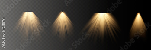 Sparkling magical dust particles . The dust sparks and golden stars shine with special light.
