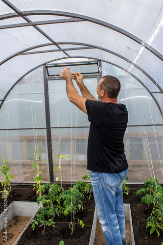 Wallpaper Mural A man works in a greenhouse with vegetables, gardening and farming Torontodigital.ca