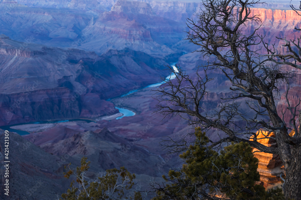 dramatic landscape of the Grand Canyon national park in Arizona.