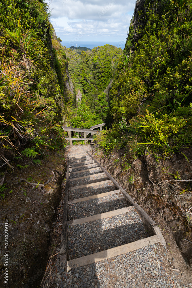 Steps and path between sheer rock and vegetation clad walls of Windy Canyon