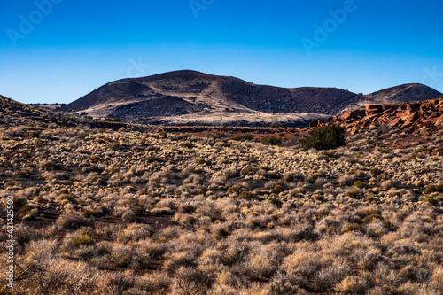 Принти на полотні ancient ruins of pueblos of the indigenous people of North America and arid landscape  in the Wupatki National Monument in Arizona