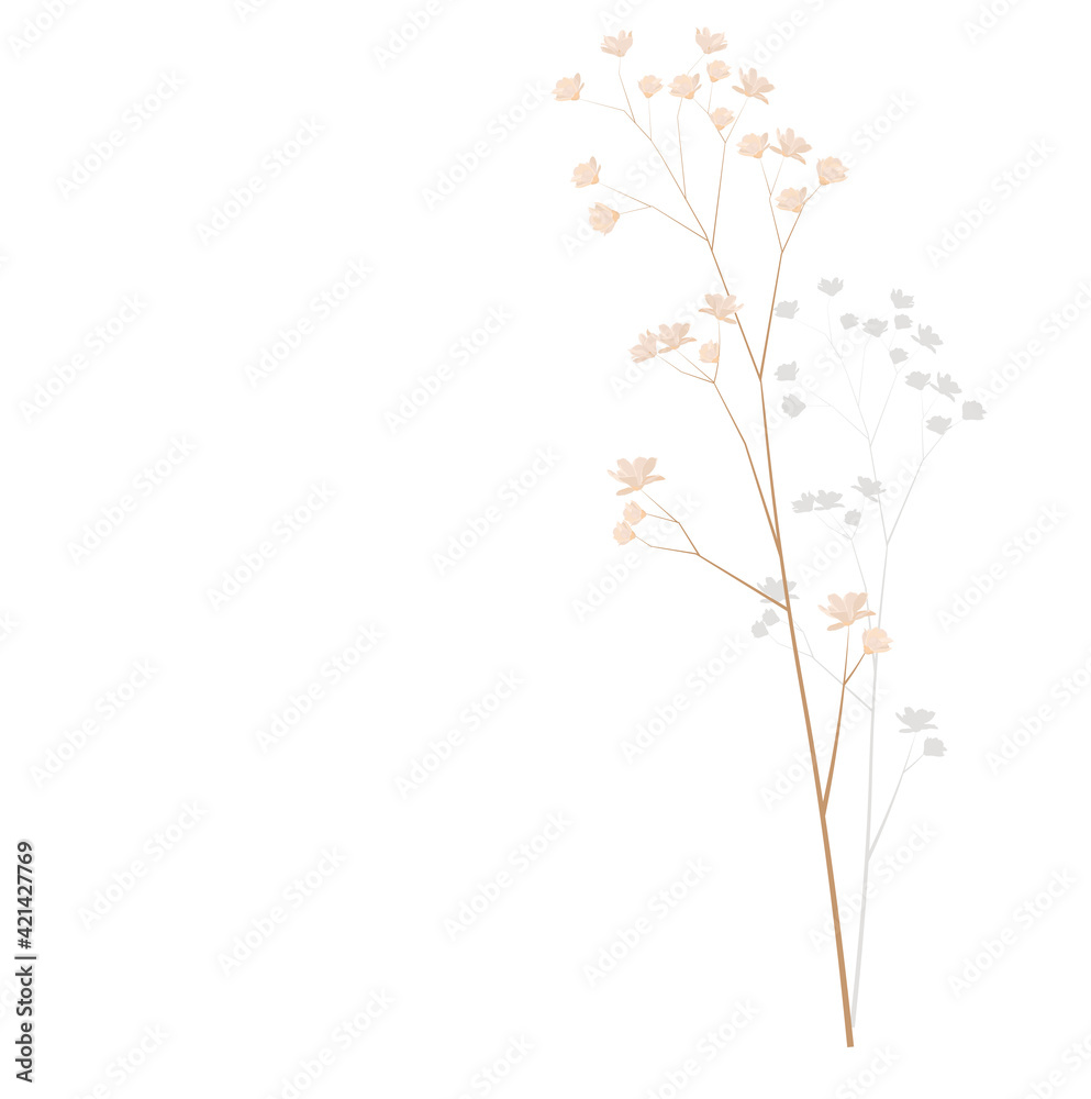Pampas grass vector stock illustration . Cream branch of dry grass. Panicle Cortaderia selloana South America, feather flower head plumes step. golden color. Template for a wedding card. Pampas grass vector stock illustration . Cream branch of dry grass. Panicle Cortaderia selloana South America, feather flower head plumes step. golden color. Template for a wedding card.