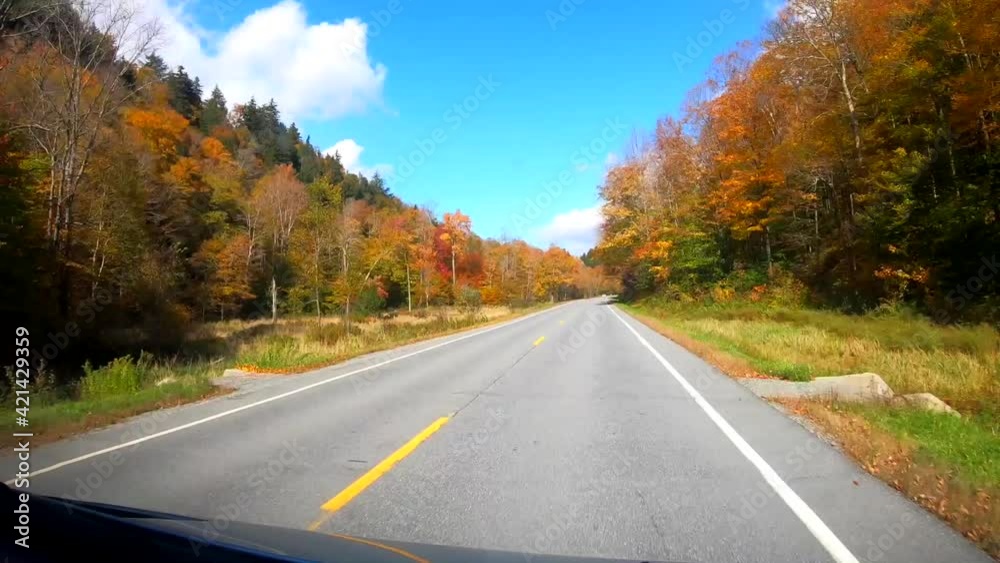 TimeLapse 10X - Driving Under Trees in Bright Sunlight in Peak Color During Fall in Vermont. TimeLapse 10X - Driving Under Trees in Bright Sunlight in Peak Color During Fall in Vermont.
