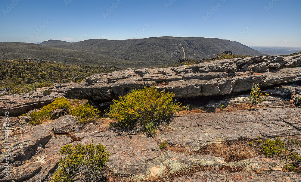 Fototapeta premium Australia. National park Grampians. 