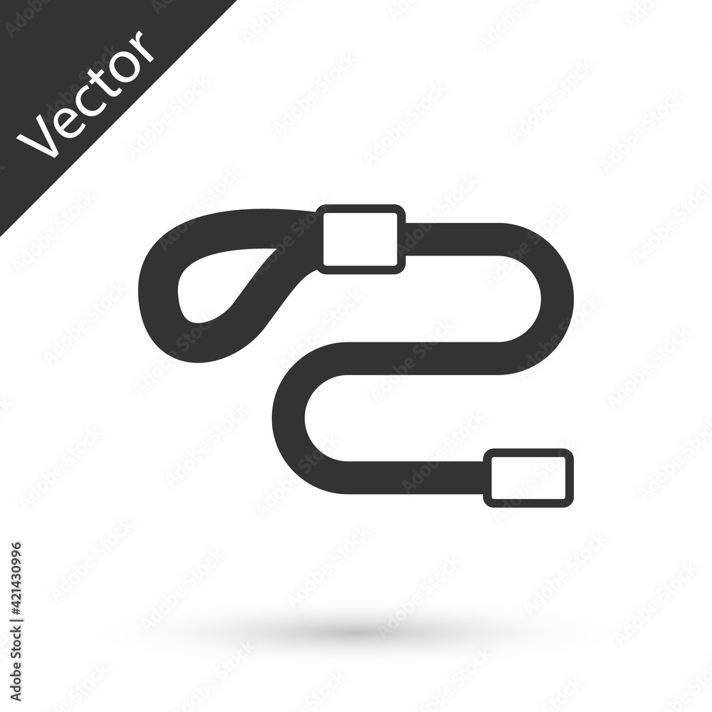 Grey Retractable cord leash with carabiner icon isolated on white background. Pet dog lead. Animal accessory for outdoors walk. Vector Grey Retractable cord leash with carabiner icon isolated on white background. Pet dog lead. Animal accessory for outdoors walk. Vector