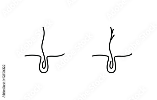 Thin line icon for hair care industry. Hair with split end and healthy hair. 